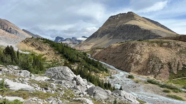 Een Prachtig Uitzicht Brazeau Loop Trail Jasper National Park Alberta — Stockfoto