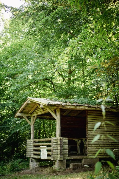 Dřevěný Pavilon Lese — Stock fotografie