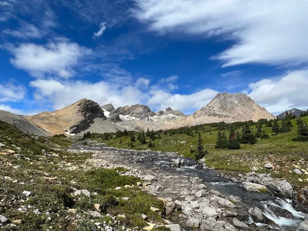 Uma Bela Vista Brazeau Loop Trail Parque Nacional Jasper Alberta — Fotografia de Stock