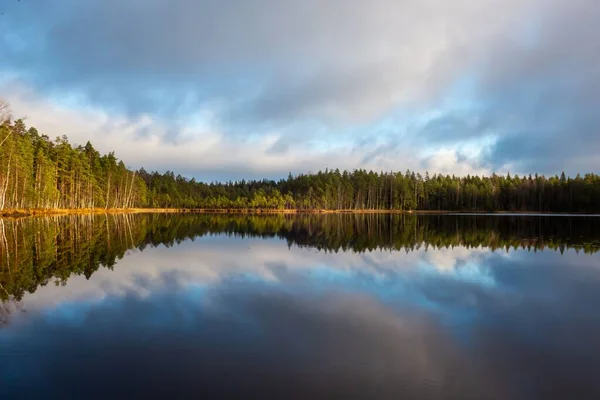 Una Vista Panorámica Tranquilo Lago Rodeado Árboles Siempreverdes Finlandia — Foto de Stock