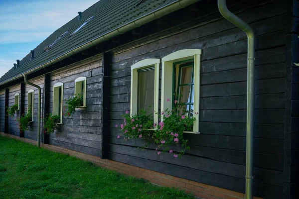 Una Bella Casa Legno Nero Contro Prato Verde Nella Foresta — Foto Stock