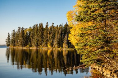 Prens Albert Ulusal Parkı, Saskatchewan 'daki gölün kıyısındaki gür sonbahar ağaçları.