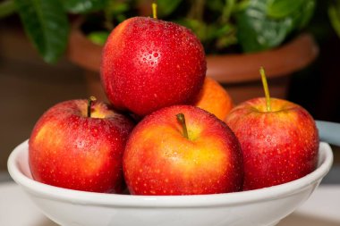 Beyaz tabakta ıslak, dolgun kırmızı elmaların yakın çekimi.