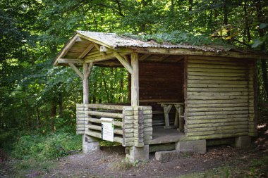 Ormanda ahşap bir pavyon