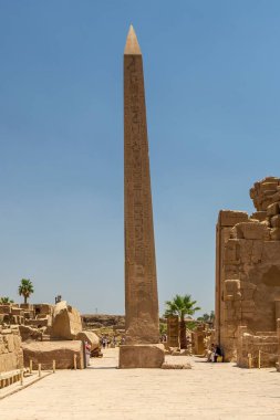 Mısır 'ın Luxor kentindeki ünlü Karnak Tapınağı' nda güneş ışığı ve mavi gökyüzü altında taş heykellerden oluşan bir manzara.