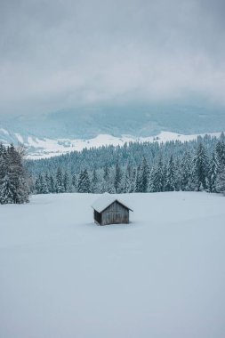 Karlı dağ yamacının ortasında, sisli bir kış gününde, karlı ormanlarla çevrili bir dağ evi.