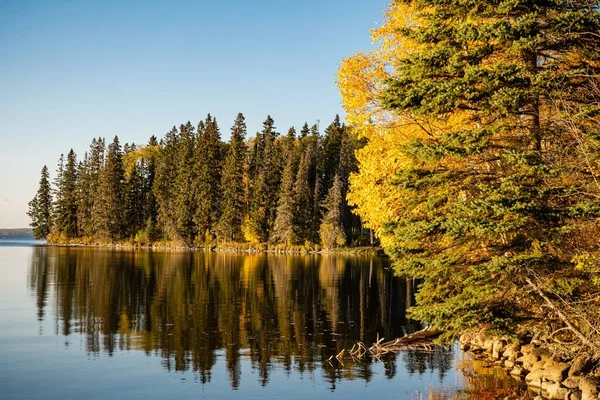 Exuberantes Árvores Outono Margem Lago Parque Nacional Príncipe Albert Saskatchewan — Fotografia de Stock