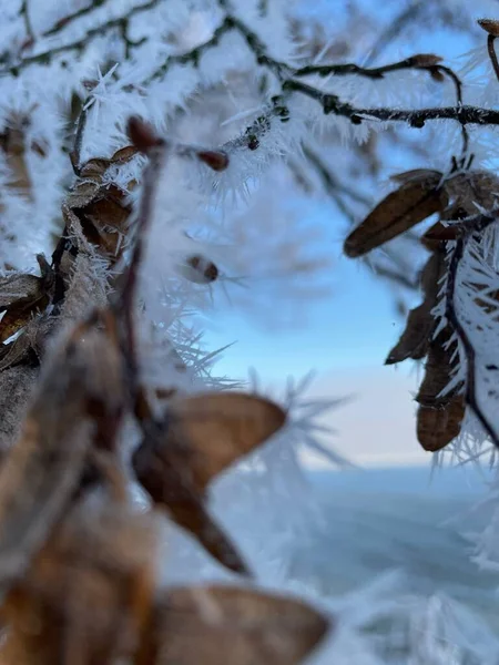 Güzel Bir Dondurucu Pazar Sabahı Yürüyüşünün Kısa Bir Resmi — Stok fotoğraf