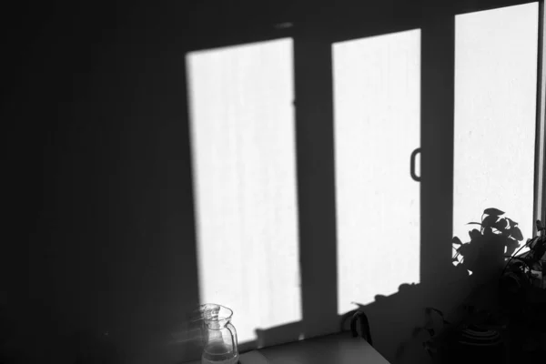 Eine Graustufe Der Reflexionen Von Fenstern Und Einer Pflanze Gegen — Stockfoto