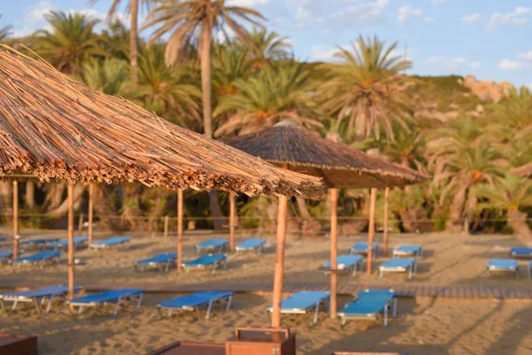 Het Strand Met Rieten Parasols Ligstoelen Omringd Door Palmbomen — Stockfoto