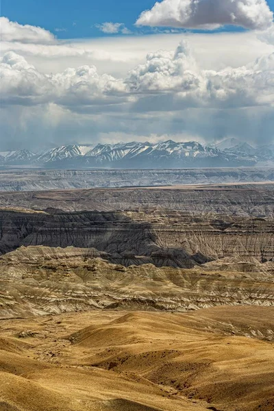 Een Verticaal Schot Van Aarde Woud Landvorm Zanda County Tibet — Stockfoto