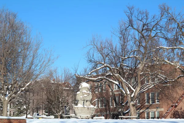Augustana Egyetem Campus Télen Sioux Falls Dél Dakota Usa — Stock Fotó