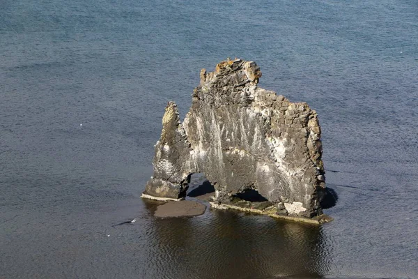 Hvitserkur High Basalt Stack Shape Petrified Rhinoceros Sea Iceland — Stock Photo, Image