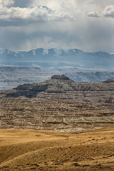 Pionowe Ujęcie Terenu Ziemskiego Lasu Zanda County Tybet Chiny — Zdjęcie stockowe