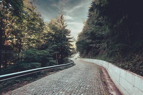 Ormanda Dolambaçlı Bir Yol — Stok fotoğraf