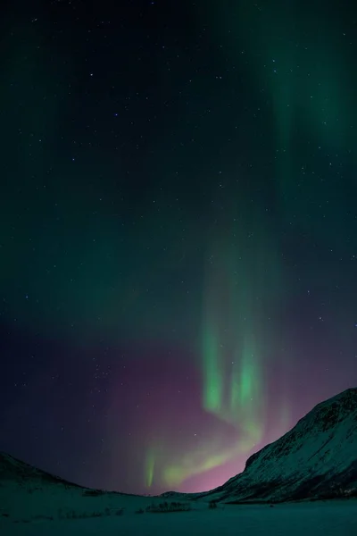 ノルウェーの山の上の明るい緑のオーロラの北の光の垂直ショット — ストック写真