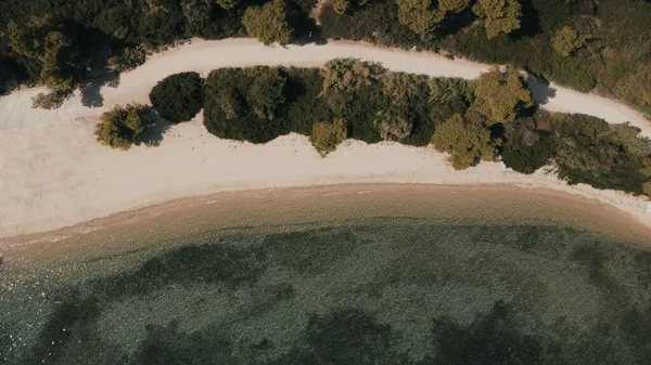 Μια Εναέρια Άποψη Ενός Λευκού Ραβδί Παραλία Surrounde Από Δέντρα — Φωτογραφία Αρχείου