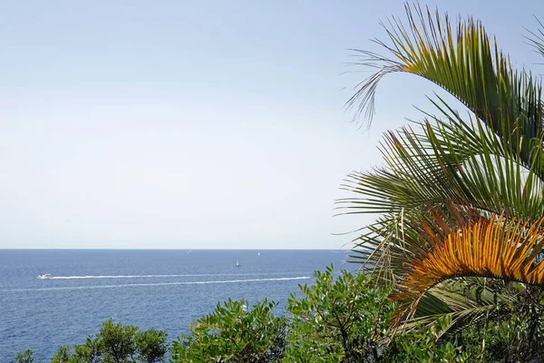 Vacker Utsikt Över Båtar Ett Hav Och Palmkvistar Förgrunden — Stockfoto