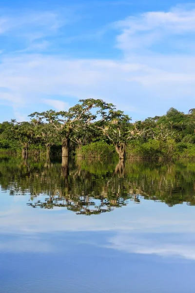 昼間の美しい緑の木々を反映した湖と美しい自然シーンの垂直ショット — ストック写真