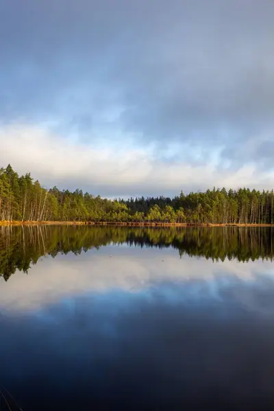 Una Vista Vertical Panorámica Tranquilo Lago Rodeado Árboles Siempreverdes Finlandia — Foto de Stock