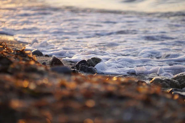 日没時に海岸に石と海の水 — ストック写真