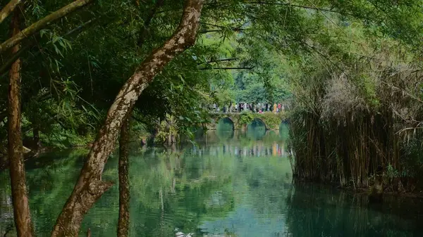 林间湖中的美丽照片 远处有座桥 — 图库照片