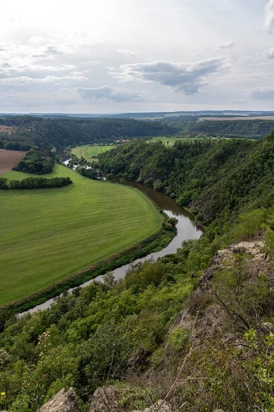 チェコ共和国の森林に覆われた山々の間のベルヌカ川の垂直ショット — ストック写真