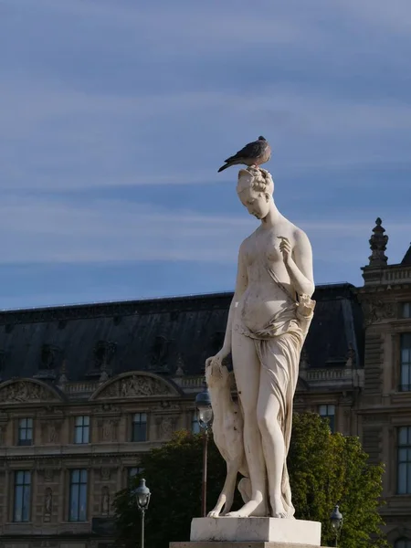 Pombo Status Paris Tuileries Garden — Fotografia de Stock