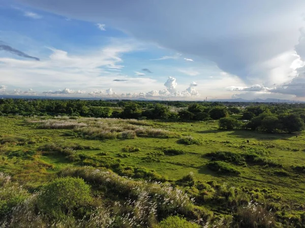 Lussureggiante Campo Verde Una Zona Rurale Sotto Cielo Nuvoloso Blu — Foto Stock