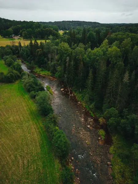 Vertikální Pohled Řeku Amata Zelenou Přírodu Lotyšsku — Stock fotografie