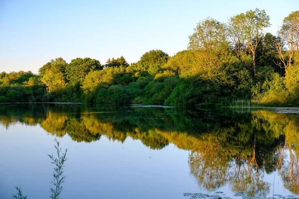 Vista Árboles Verdes Reflejándose Agua Lago Día Soleado — Foto de Stock
