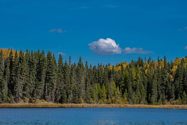 Прекрасний Краєвид Національного Парку Принца Альберта Саскачеван Канада — стокове фото