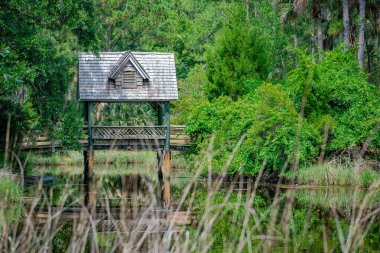 Yeşil Magnolia Çiftliği ve Güney Carolina Bahçeleri 'nde çatısı olan küçük bir köprü.