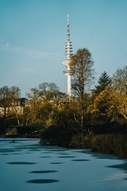 Hamburg 'da bir parkta donmuş bir gölün dikey görüntüsü.