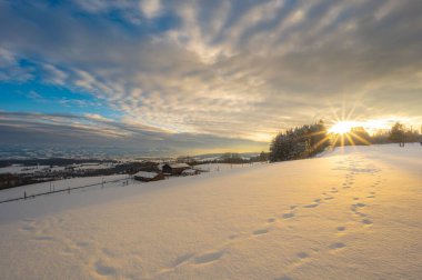 Kempten 'de günbatımında ağaçlar ve binalar önünde kar kaplı bir yamaçtaki ayak izlerinin görüntüsü.