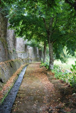 İspanya 'da bitki ve ağaçlı yeşil tarihi bahçe Pazo de Oca manzarası