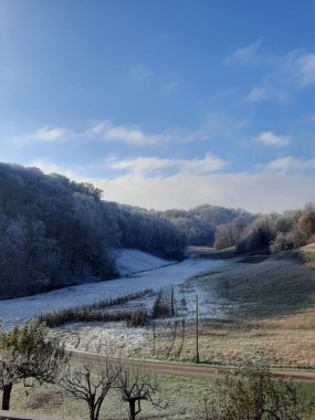 Karlı ağaçlarla çevrili kırsal bir yolun dikey görüntüsü ve bir kış günü bir tarla.