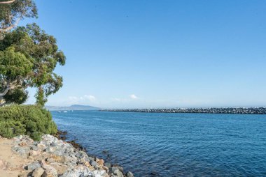 Kaliforniya 'daki Dana Point Körfezi' nin güzel bir manzarası