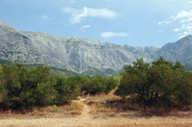 Güneşli bir günde Dalmaçya Hırvatistan 'da yeşil ağaçlardan ve Brela' nın büyük dağlarından oluşan güzel bir manzara