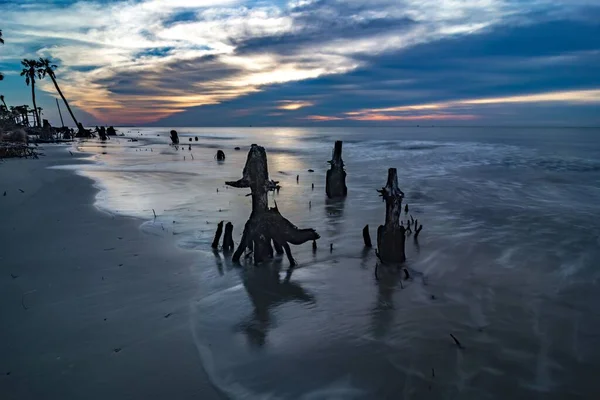 日没時に森と海の波が打ち寄せるビーチの空の景色 — ストック写真