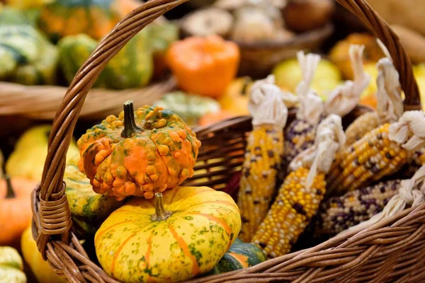 Decoratieve Herfst Pompoenen Een Mand Voor Halloween — Stockfoto