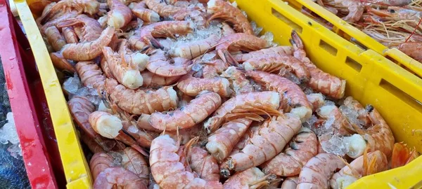 Primer Plano Los Camarones Mercado Pescado Croacia —  Fotos de Stock