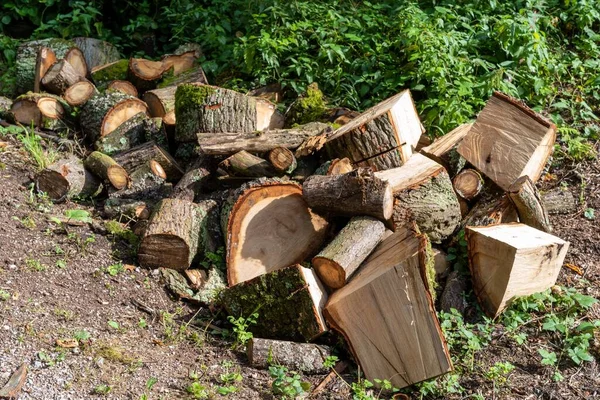 Pile Cut Tree Parts Sunlight Environmental Concept — Stock Photo, Image