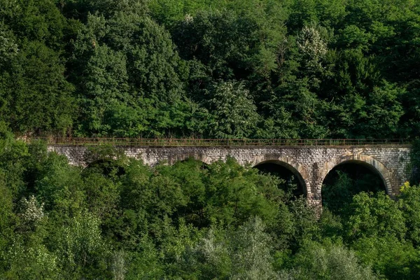 A stone bridge with elliptic arches hidden in lush greenery in a forest