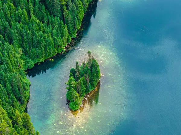 Zdjęcia Lotnicze Widokiem Piękny Zielony Las Jezioro Flora — Zdjęcie stockowe