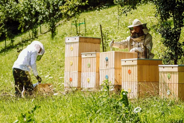 Ženský Včelař Pracující Její Farmě Slunečného Dne Venkově — Stock fotografie