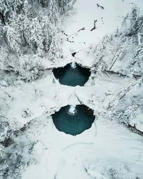 Disparo Vertical Bosque Congelado Con Hielo Lago —  Fotos de Stock