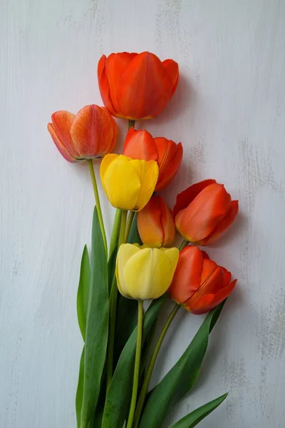 Una Hermosa Toma Vertical Tulipanes — Foto de Stock