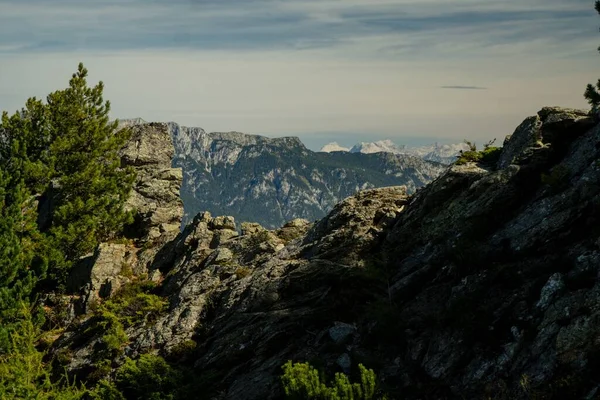 Een Close Van Rotsachtige Hoogtes Groene Bomen Een Berghelling Oostenrijk — Stockfoto