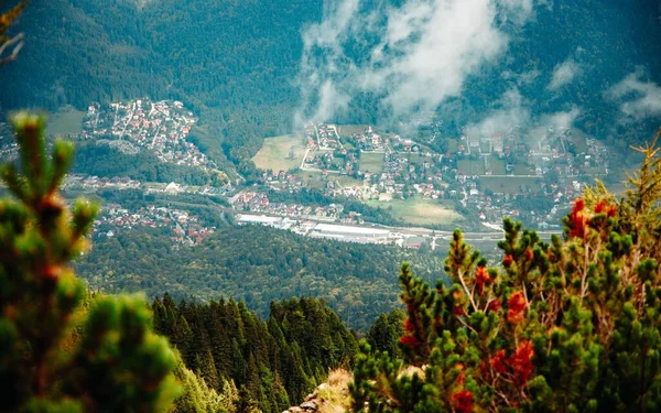 Widok Powietrza Piękny Las Pobliżu Gór — Zdjęcie stockowe